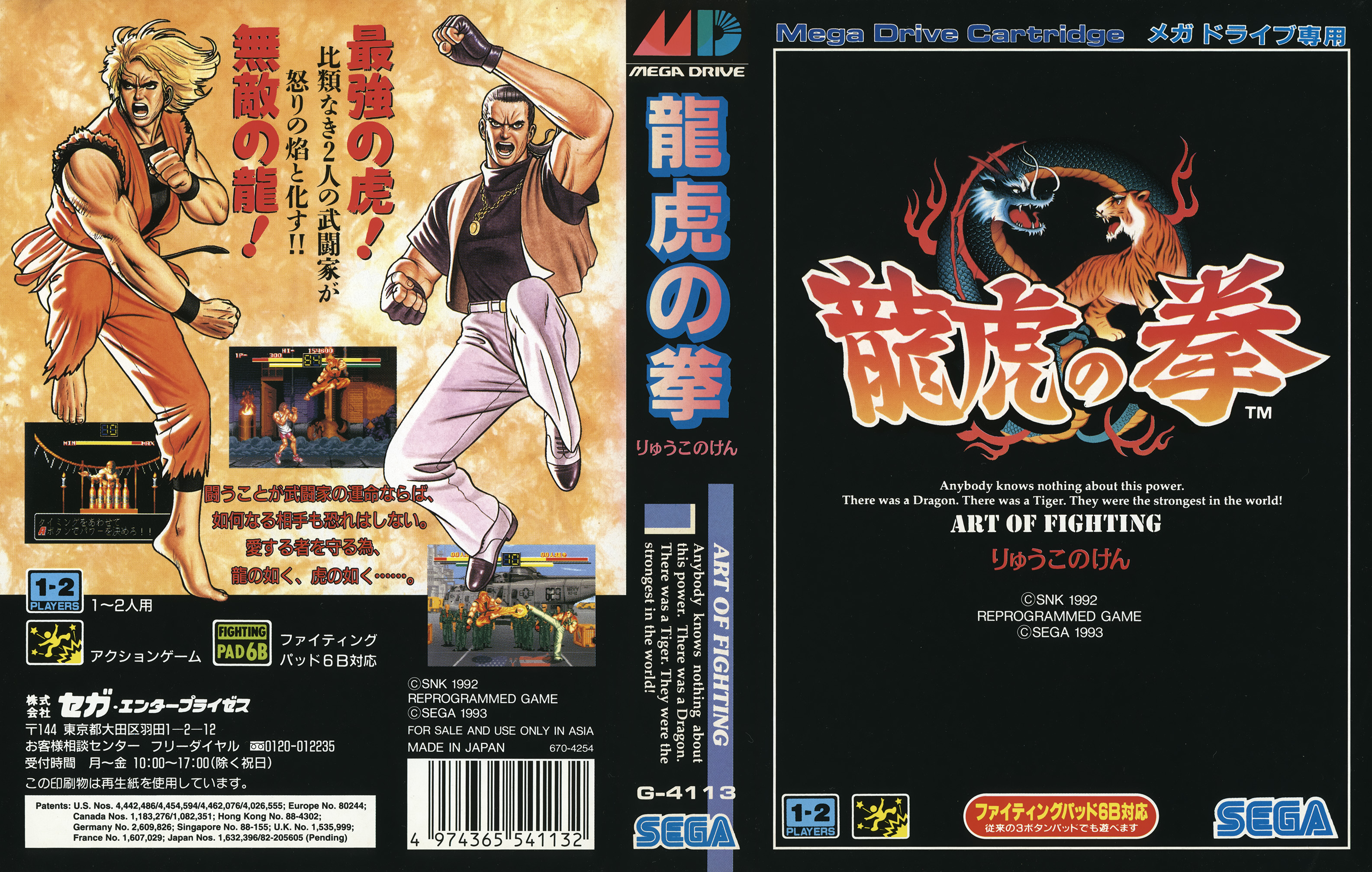 龍虎の拳 パッケージ