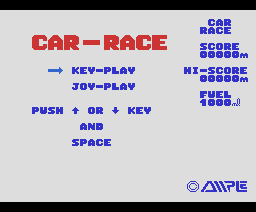 Car Race