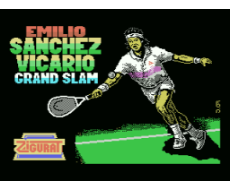 Emilio Sanchez Vicario Grand Slam