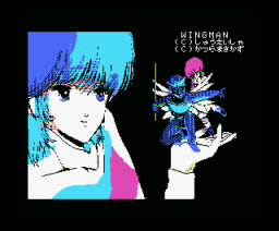 ウィングマン2