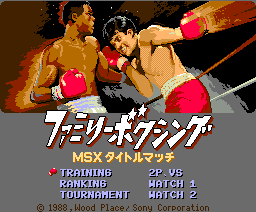 Family Boxing