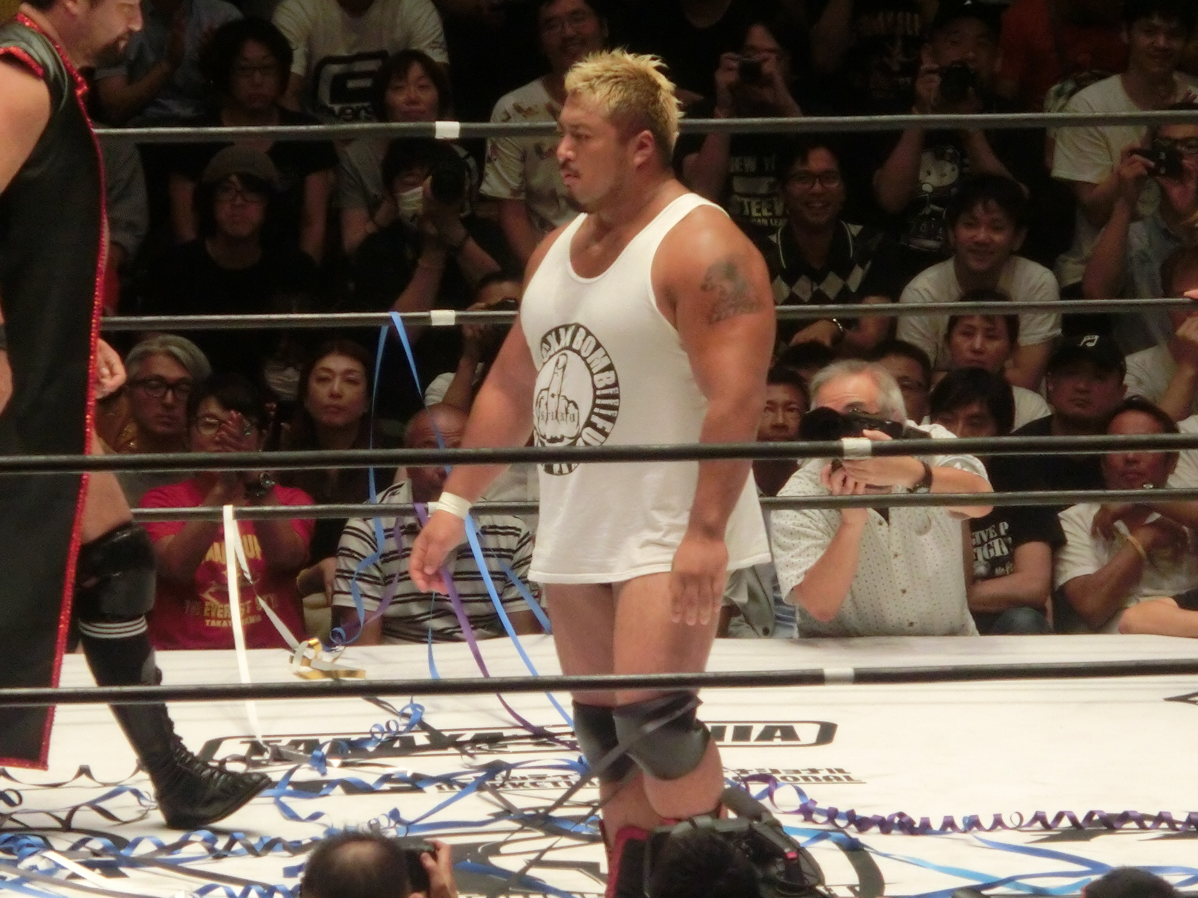全日本プロレス ファイトだポン!